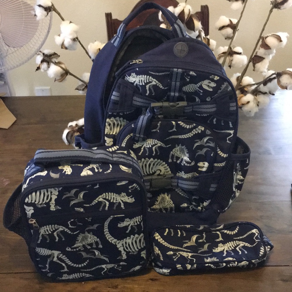 Pottery Barn Kids Glow-in-the-Dark Dino Set